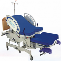 Multi-functional Parturition Bed MPBM-1000A